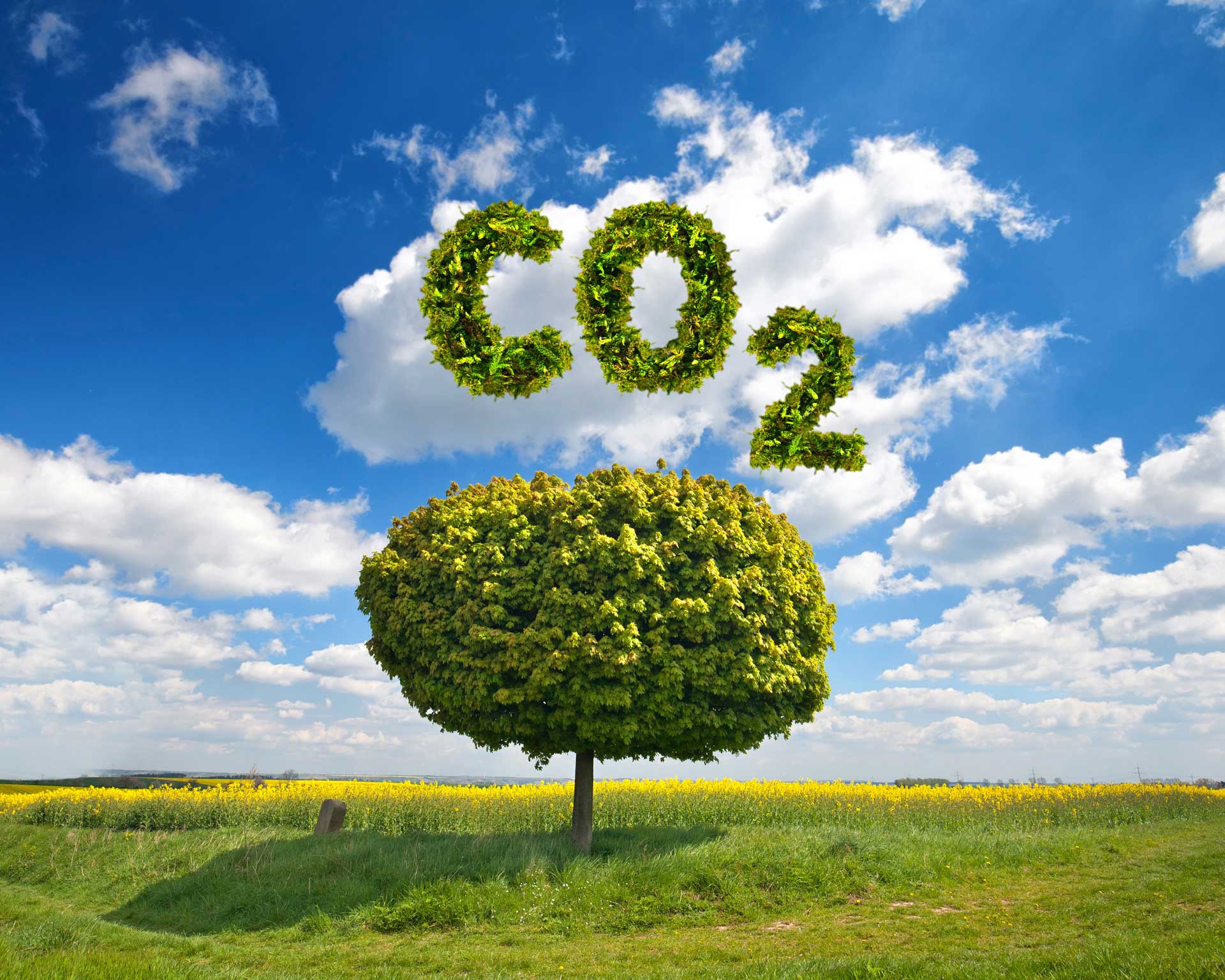 Anästhesie: Einsparung von nahezu 100 Tonnen CO2-Emission - ukb mittendrin